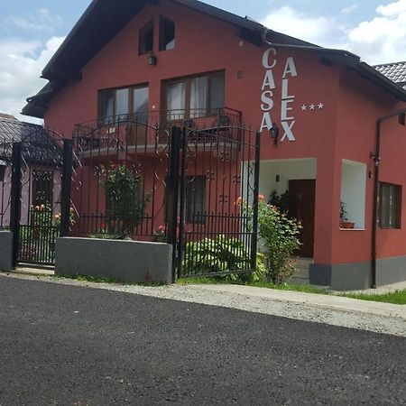 Vila Alex Hotell Călimăneşti Eksteriør bilde
