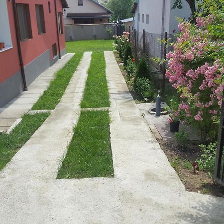 Vila Alex Hotell Călimăneşti Eksteriør bilde