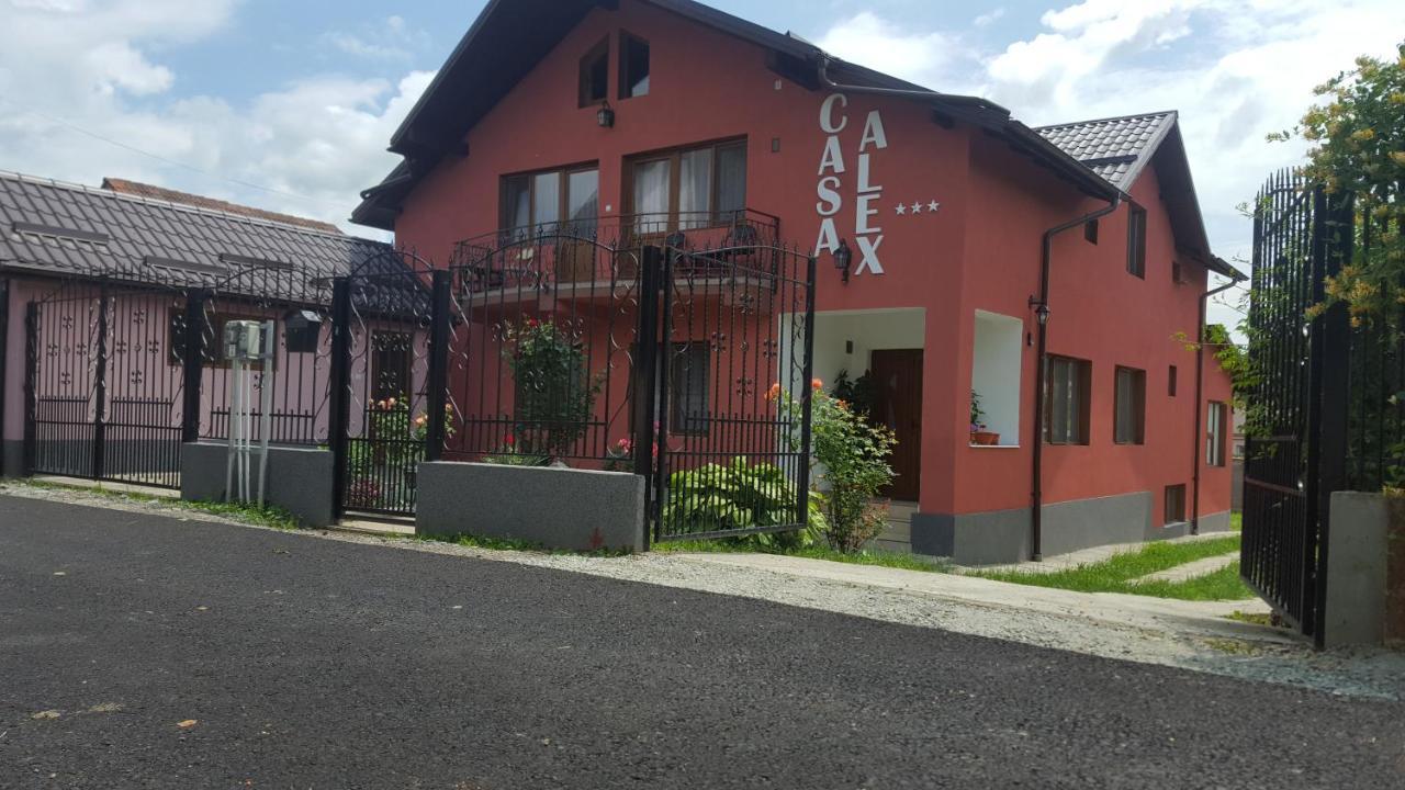 Vila Alex Hotell Călimăneşti Eksteriør bilde