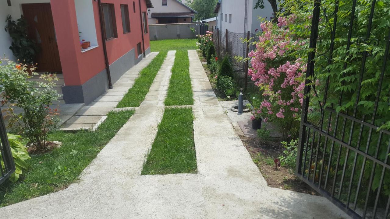 Vila Alex Hotell Călimăneşti Eksteriør bilde