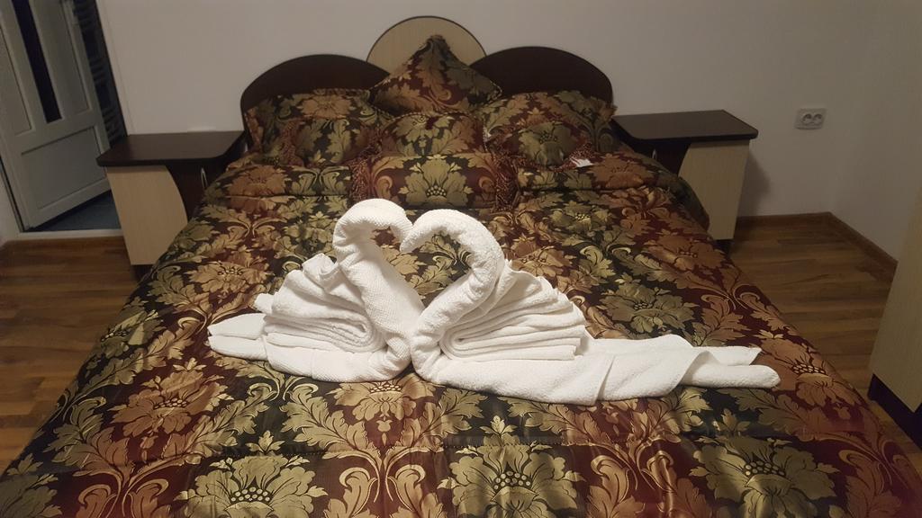 Vila Alex Hotell Călimăneşti Eksteriør bilde
