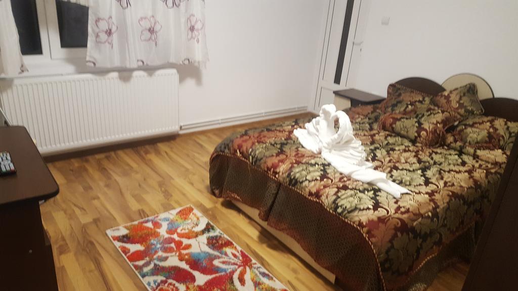 Vila Alex Hotell Călimăneşti Eksteriør bilde