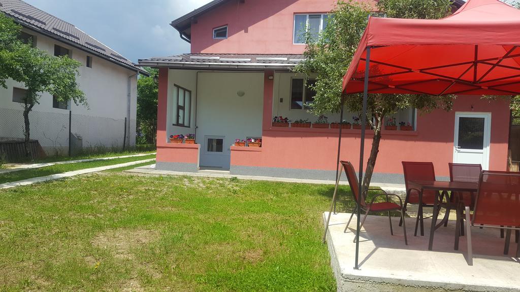 Vila Alex Hotell Călimăneşti Eksteriør bilde
