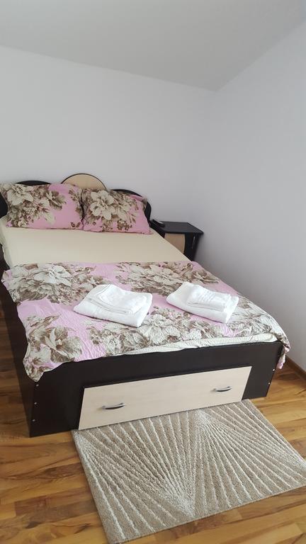 Vila Alex Hotell Călimăneşti Eksteriør bilde