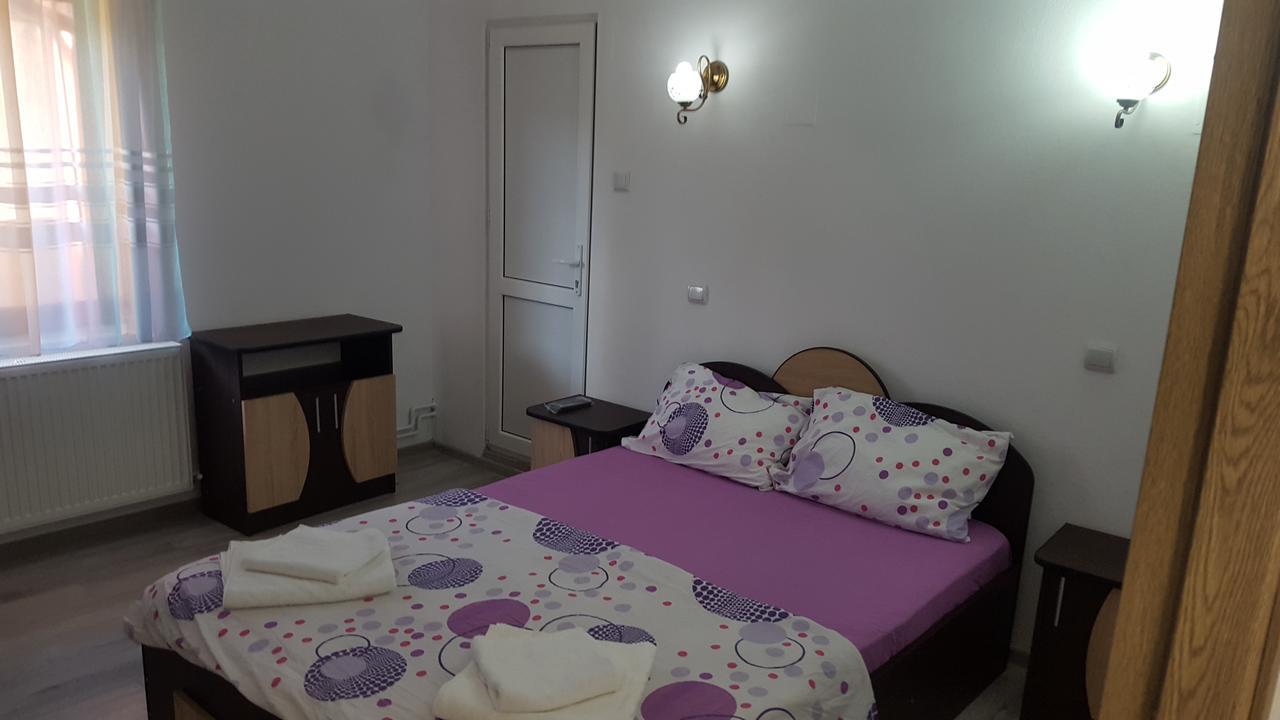 Vila Alex Hotell Călimăneşti Eksteriør bilde