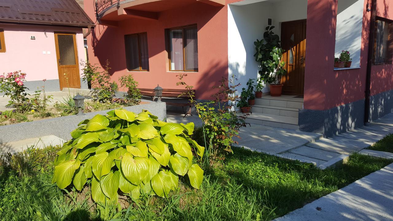 Vila Alex Hotell Călimăneşti Eksteriør bilde